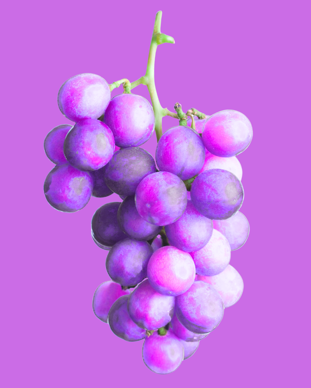 Bandes Blanchissantes Mallow - Grape