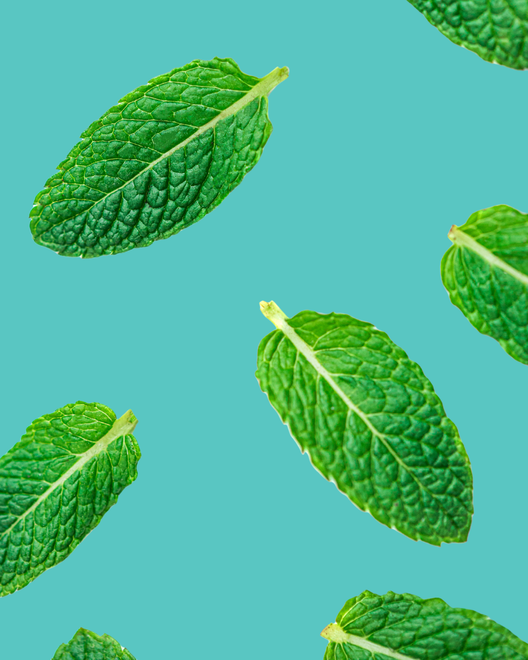 Bandes Blanchissantes Mallow - Peppermint